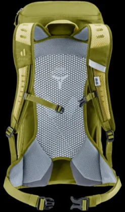 Deuter AC Lite 16 linden-cactus Best