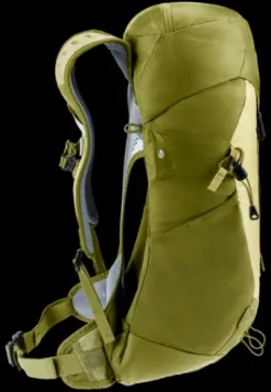 Deuter AC Lite 16 linden-cactus Best