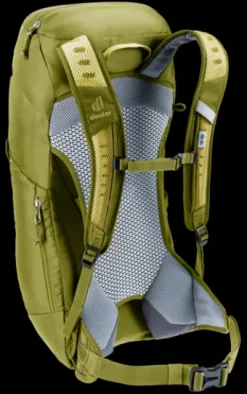 Deuter AC Lite 16 linden-cactus Best