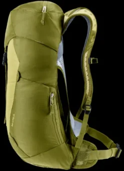 Deuter AC Lite 16 linden-cactus Best