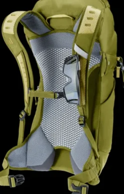 Deuter AC Lite 16 linden-cactus Best