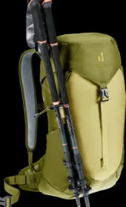 Deuter AC Lite 16 linden-cactus Best