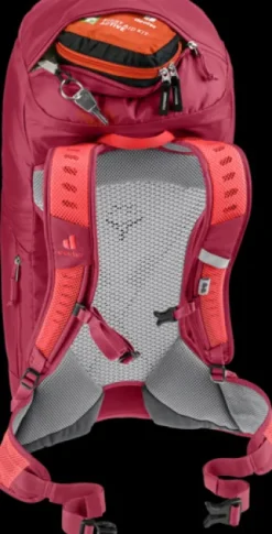 Deuter AC Lite 30 cherry-masala New
