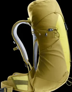 Deuter AC Lite 22 SL sprout-linden Best
