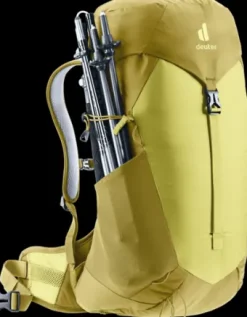 Deuter AC Lite 22 SL sprout-linden Best