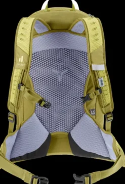 Deuter AC Lite 21 SL sprout-linden Best