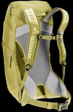 Deuter AC Lite 14 SL sprout-linden Online
