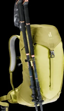 Deuter AC Lite 14 SL sprout-linden Online