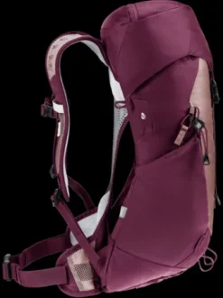 Deuter AC Lite 14 SL ashrose-cassis Fashion