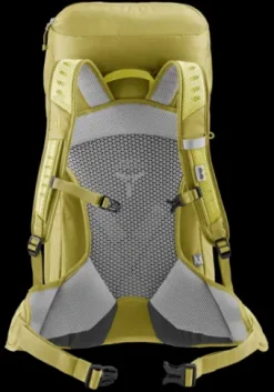 Deuter AC Lite 28 SL sprout-linden Online