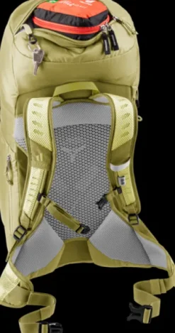 Deuter AC Lite 28 SL sprout-linden Online