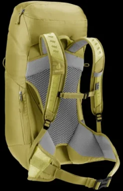 Deuter AC Lite 28 SL sprout-linden Online