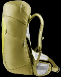 Deuter AC Lite 28 SL sprout-linden Online