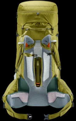 Deuter Aircontact Core 70+10 cactus-ivy Discount