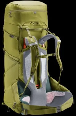Deuter Aircontact Core 70+10 cactus-ivy Discount