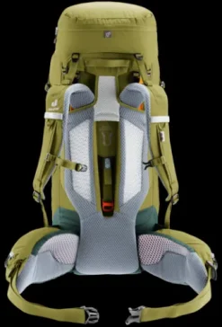 Deuter Aircontact Core 40+10 cactus-ivy Sale
