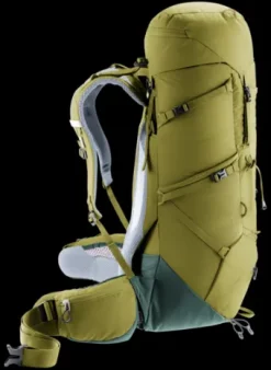 Deuter Aircontact Core 40+10 cactus-ivy Sale