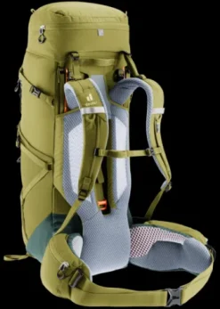 Deuter Aircontact Core 40+10 cactus-ivy Sale