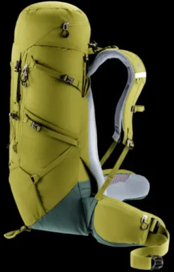 Deuter Aircontact Core 40+10 cactus-ivy Sale