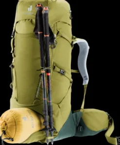 Deuter Aircontact Core 40+10 cactus-ivy Sale