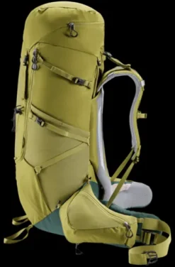 Deuter Aircontact Core 60+10 cactus-ivy Outlet