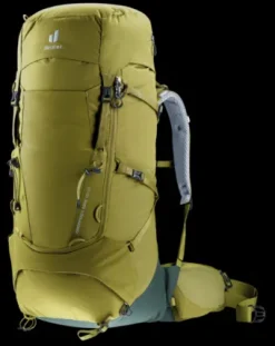Deuter Aircontact Core 50+10 cactus-ivy Sale
