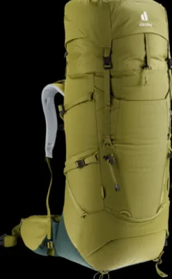 Deuter Aircontact Core 50+10 cactus-ivy Sale