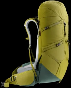 Deuter Aircontact Core 50+10 cactus-ivy Sale