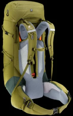 Deuter Aircontact Core 50+10 cactus-ivy Sale
