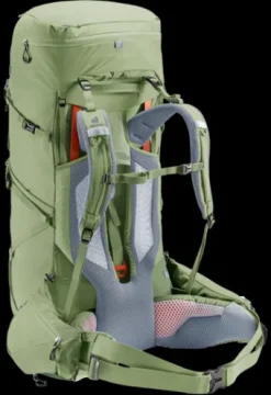 Deuter Aircontact Core 55+10 SL grove-ivy Outlet