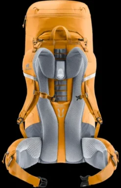 Deuter Aircontact Lite 50 + 10 amber-maple Best
