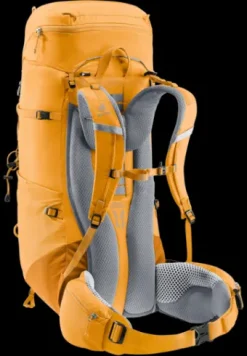 Deuter Aircontact Lite 50 + 10 amber-maple Best