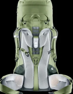 Deuter Aircontact Lite 45 + 10 SL grove-ivy Best