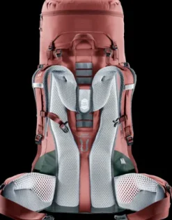 Deuter Aircontact Lite 45 + 10 SL caspia-ivy Discount