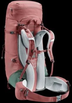 Deuter Aircontact Lite 45 + 10 SL caspia-ivy Discount