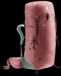 Deuter Aircontact Lite 45 + 10 SL caspia-ivy Discount