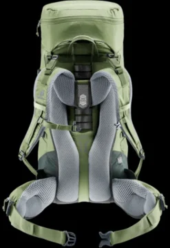 Deuter Aircontact Lite 35 + 10 SL grove-ivy Best