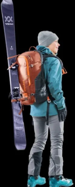 Deuter Alproof 30 SL redwood-black Best