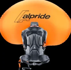 Deuter Alproof 30 SL redwood-black Best