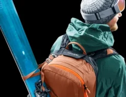 Deuter Alproof Lite 22 chestnut-black Best