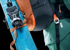 Deuter Alproof Lite 22 chestnut-black Best