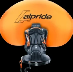 Deuter Alproof Lite 22 chestnut-black Best