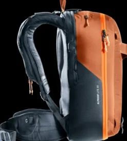 Deuter Alproof Lite 22 chestnut-black Best