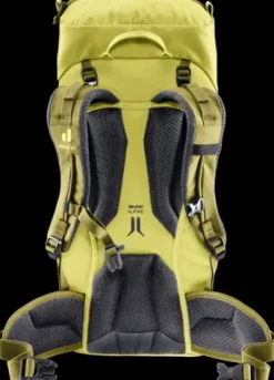 Deuter Climber 22 sprout-linden Hot