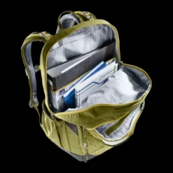 Deuter Cotogy cactus New