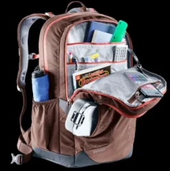 Deuter Cotogy raisin New