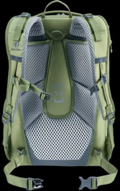 Deuter Cotogy grove ripple-grove Online