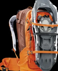 Deuter Freerider 30 chestnut-umbra Discount