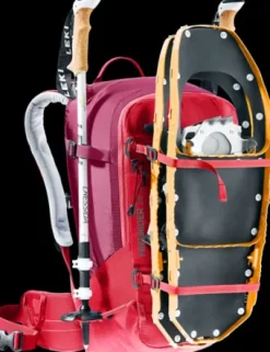 Deuter Freerider 28 SL hibiscus-ruby New
