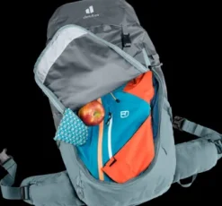 Deuter Futura 26 graphite-shale Sale